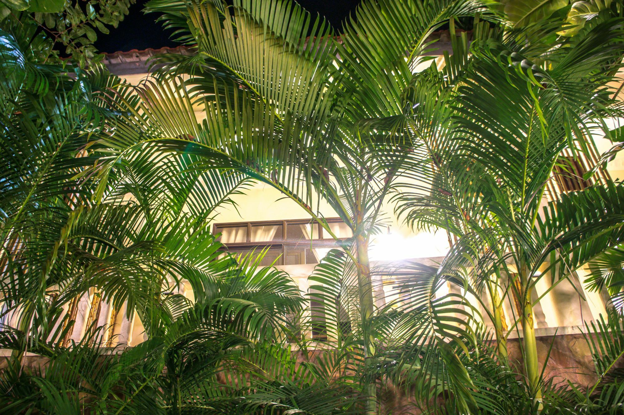 מלון Tropical Hill Kep Cambodia מראה חיצוני תמונה